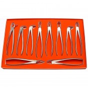 Tooth Extracting Forceps|(eng)
